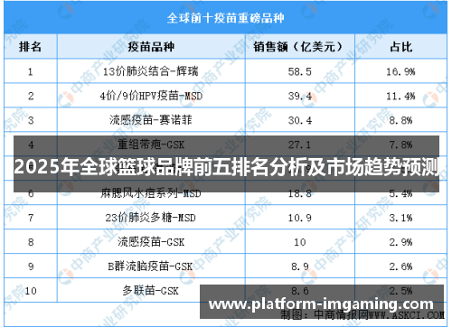 2025年全球篮球品牌前五排名分析及市场趋势预测