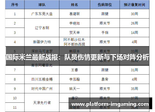 国际米兰最新战报：队员伤情更新与下场对阵分析