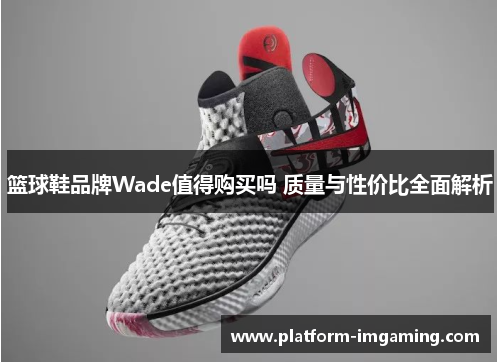 篮球鞋品牌Wade值得购买吗 质量与性价比全面解析