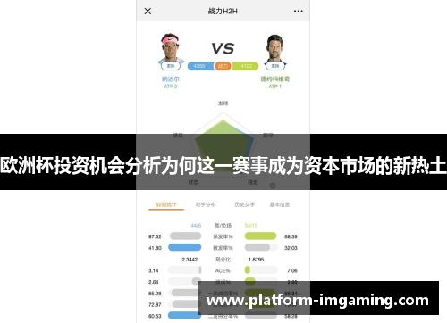 欧洲杯投资机会分析为何这一赛事成为资本市场的新热土