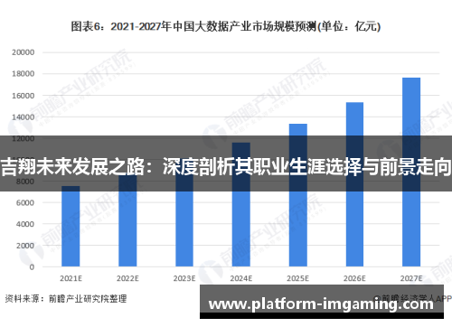 吉翔未来发展之路：深度剖析其职业生涯选择与前景走向