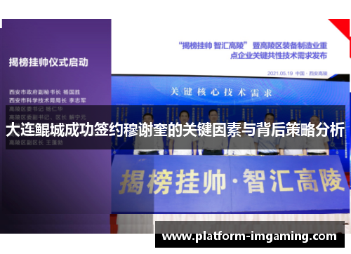 大连鲲城成功签约穆谢奎的关键因素与背后策略分析