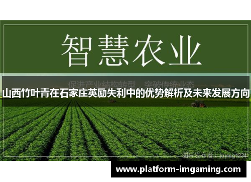 山西竹叶青在石家庄英励失利中的优势解析及未来发展方向