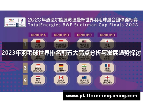 2023年羽毛球世界排名前五大亮点分析与发展趋势探讨