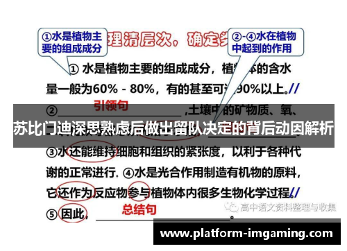 苏比门迪深思熟虑后做出留队决定的背后动因解析