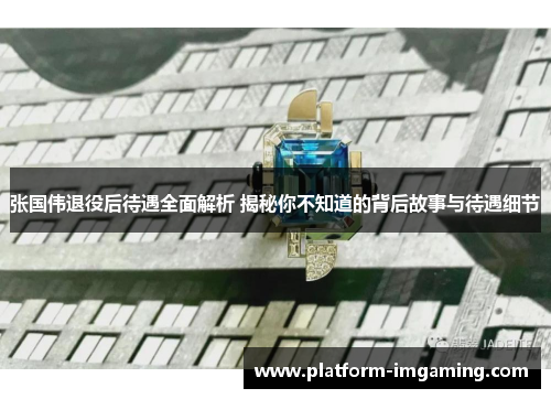 张国伟退役后待遇全面解析 揭秘你不知道的背后故事与待遇细节