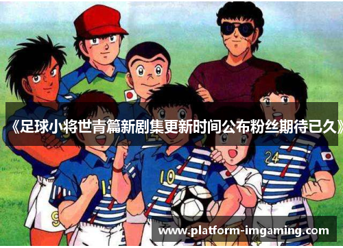 《足球小将世青篇新剧集更新时间公布粉丝期待已久》